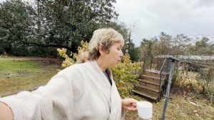 Фазенда-Кухня-Новый Год