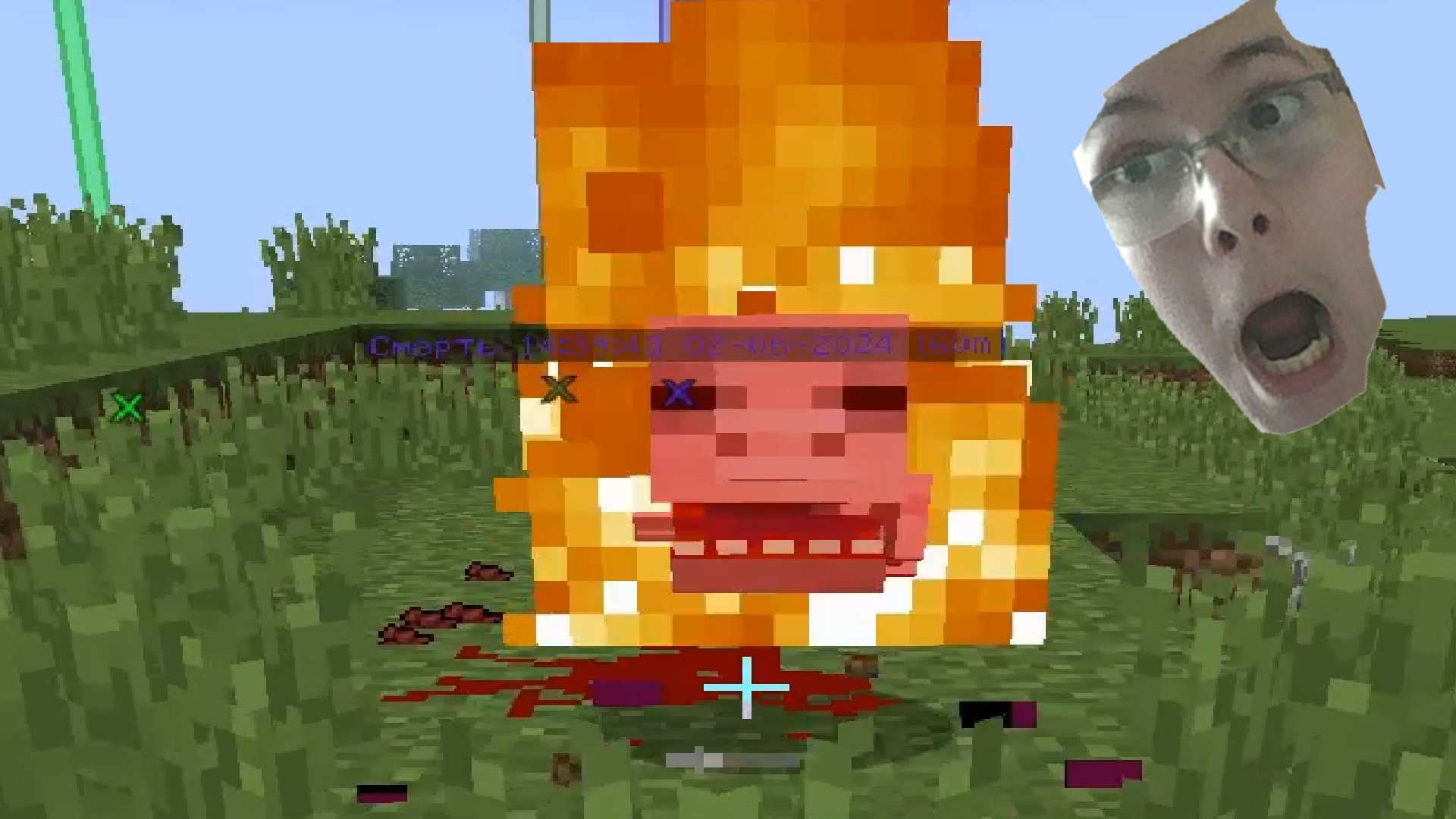 НА НАС НАПАЛА ЗАРАЖЕННАЯ СВИНЬЯ В ЛИМОНГРАДЕ В MINECRAFT