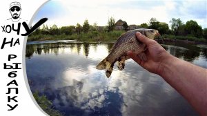 Сходил блин, половил окуней. Ловля карася на отводной. Ультралайт рыбалка. 12.05.2020