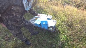 КАКИЕ ИСПОЛЬЗОВАТЬ НУКЛЕУСЫ НА СВОЕЙ ПАСЕКЕ, КАКИЕ У МЕНЯ.