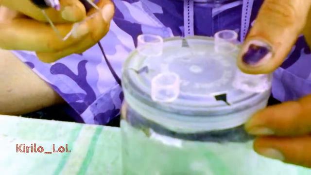 Поилка своими руками для цыплят смотреть онлайн