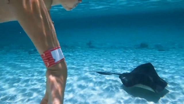 Atlantis Paradise island Bahama