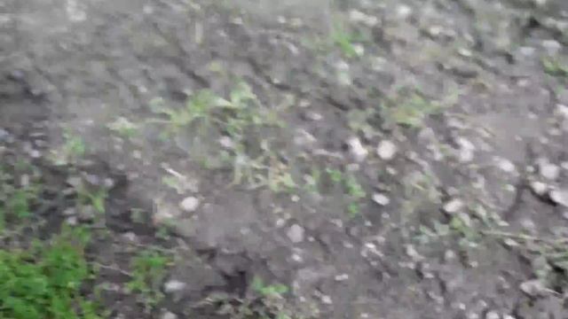 Муравей 2м смотреть онлайн