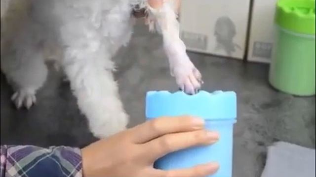 PuppyBootle - Лапомойка. Как работает