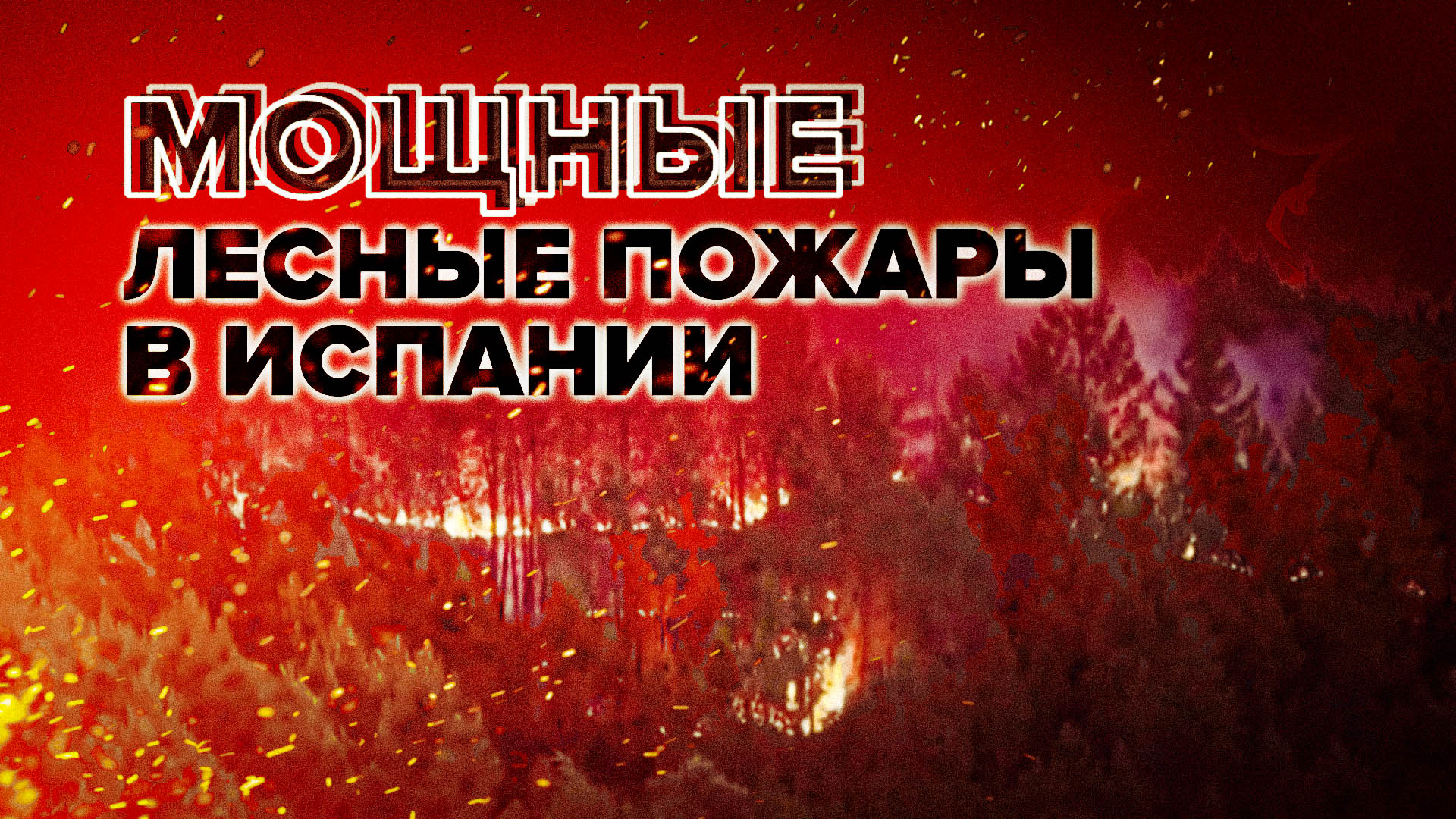 В Испании бушуют лесные пожары — видео