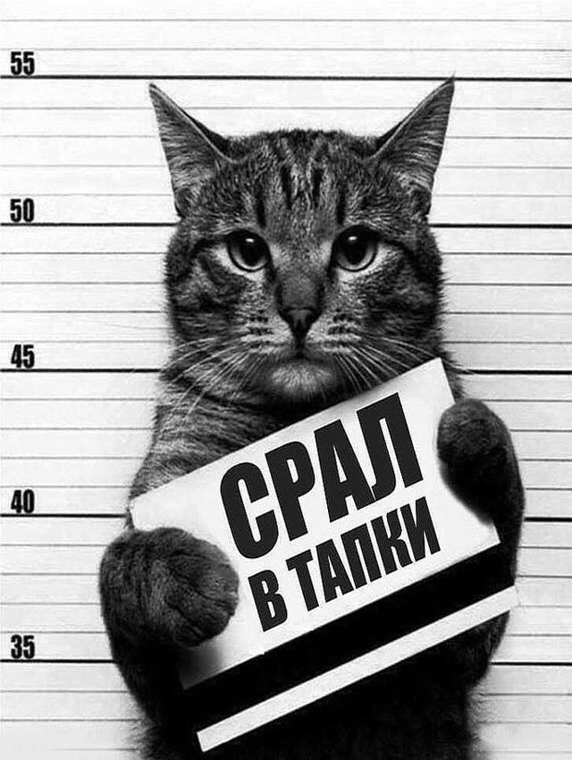 Смешные Приколы #shorts