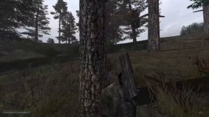 Стулкер Аномали