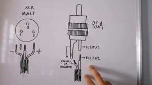 DIY XLR and RCA Connectors, How to Soldering XLR AND RCA