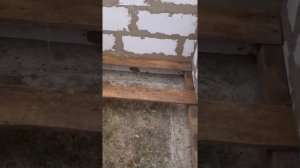 Будка для добермана АРЧИ,с подогревом пола