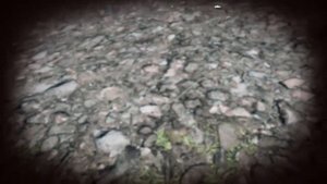 FAR CRY 5 : ГЛИТЧ НА БЕССМЕРТИЕ