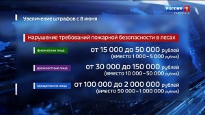 Палы травы и несанкционированные костры в лесах обойдутся смолянам дороже