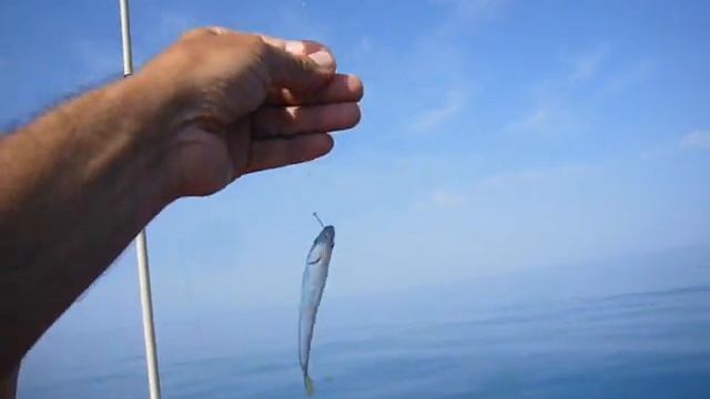 Морская рыбалка в Абхазии. Черное море