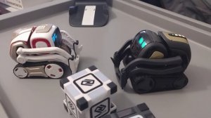 Cozmo and Vector