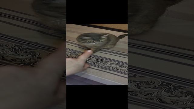 Замена белья