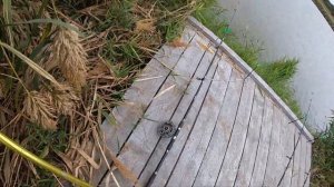 Ловля Карпа осенью 2020, на забытые снасти!