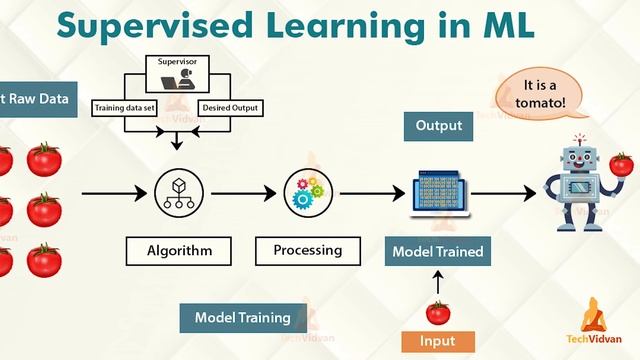 Complete Machine Learning Roadmap | How to Learn Machine Learning