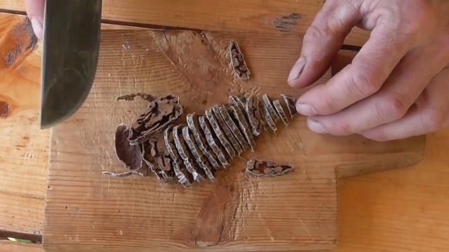 Рабочая,эффективная приманка на бобра,своими руками!!! смотреть онлайн