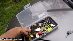 Форель. Вращающиеся блёсны