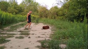Тибетский мастиф дрессировка