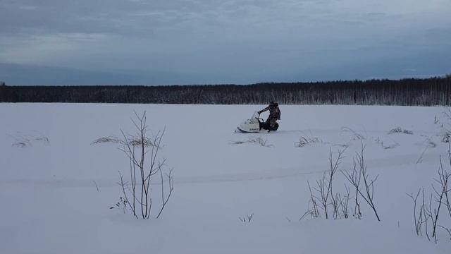 Российские снегоходы буран.