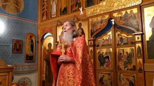 Отец Александр 2 июня 2019. Целительница