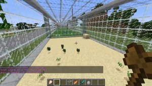 Я ПРИЗВАЛ ЧАЙКУ В МАЙНКРАФТЕ! НОВЫЕ ПТИЦЫ В MINECRAFT ЗООГОРОД