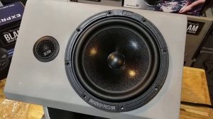 BLAM Express 165 ES 
PowerRMS.     60watt
PowerMax.     120watt
Frequency response 65hz-25khz
Sensi