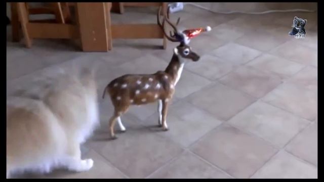 Смешные животные. Щенок против Оленя ! смотреть онлайн