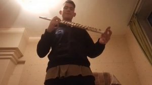 флейта Поперечная