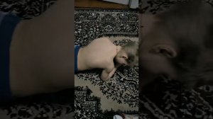 Самый, Сильный Человек в Мире 2