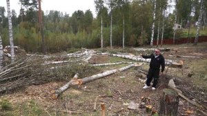 Валка сложных деревьев, корчёвка пней и расчистка участка от поросли. Подготовка к застройке