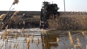 БИЗНЕС НА РАКАХ|ВЫКОПАЛ ПРУД|ОТКРЫЛ МАГАЗИН|УСПЕШНО ПРОДАЮ!