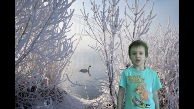 Стихотворение Лебединое горе читает Ильин Артем 5 лет детский сад 242 Саратов