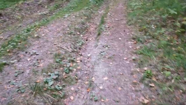 2 психотипа в трейдинге смотреть онлайн