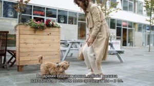 Как обучить собаку команде «Ко мне»?