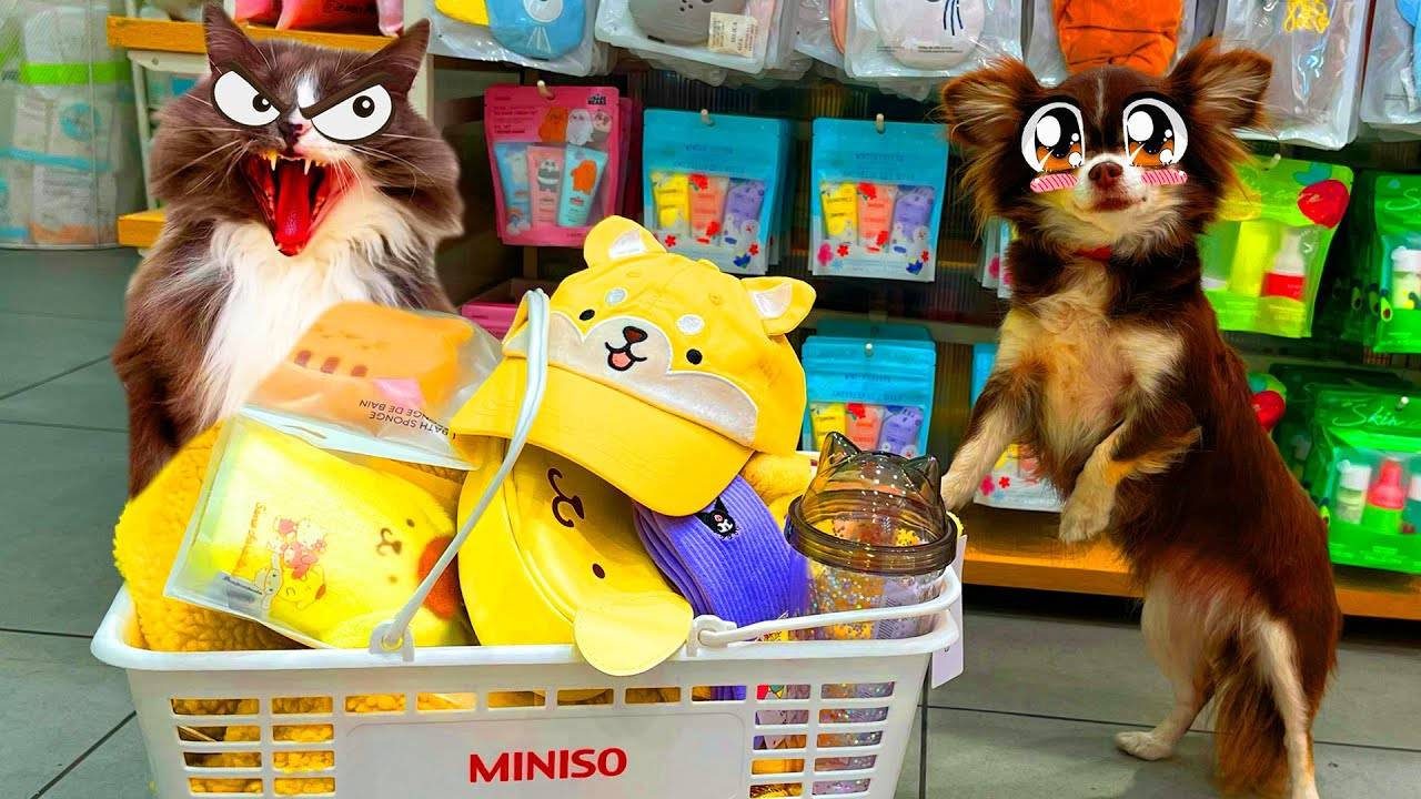 НАКУПИЛИ в японском магазине — ПОДАРКИ из Японии! 🛍️🎎