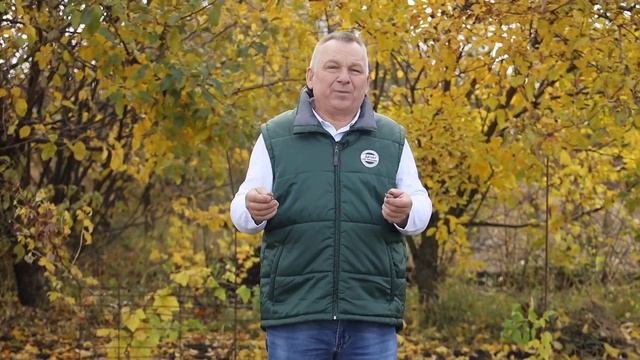 Когда САЖАТЬ ЧЕСНОК? Как получить САМЫЙ ЛУЧШИЙ урожай?