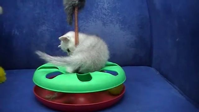 Россыпь Алмазная смотреть онлайн