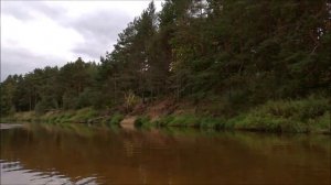 Гастрономический сплав по реке Медведица. Поход, рыбалка, грибы. Сентябрь 2016.