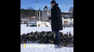 Черная бекеша, черный тулуп