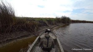 Отдохнули с родителями на речке. Половили рыбки и пожарили уток.