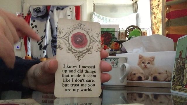 DIVINE MASCULINE SPEAKS ??? Love is Everything at This Time! ? A Raw Reflection of Vulnerability смотреть онлайн