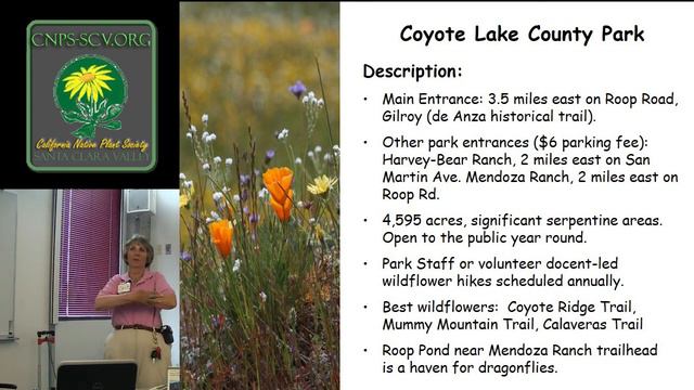 Where To See Wildflowers смотреть онлайн