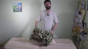 урок питерский паравозик, общее описание