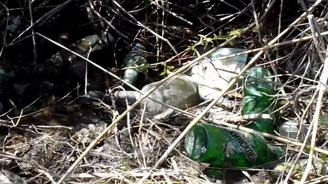 Акция по очистке берегов от мусора. смотреть онлайн