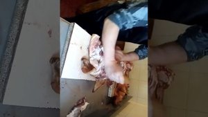 Обвалка свиной головы за три минуты