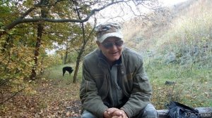 Отдать собаку на дрессировку с пансионом , будет ли результат. Кинолог Иволга.