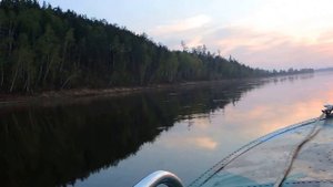 Казанка и Tohatsu 25 по Чуне