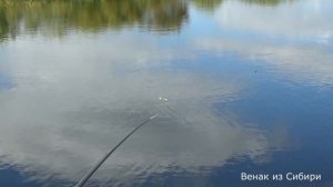 Гольяны в мордушку и особенности национальной охоты на РЫБАЛКЕ ( часть 1).mp4