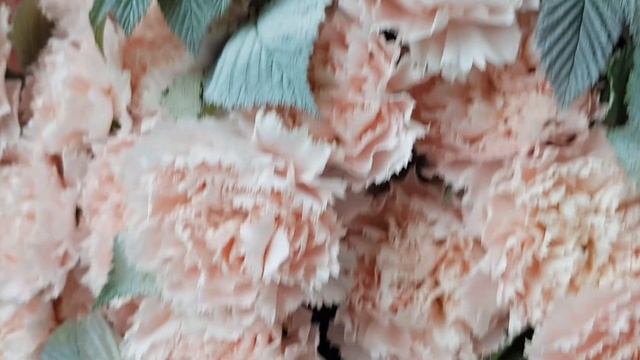 Гвоздика букет цветов смотреть онлайн